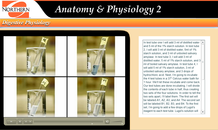 results of the experiment showing the tube marked A2 with blue coloration.