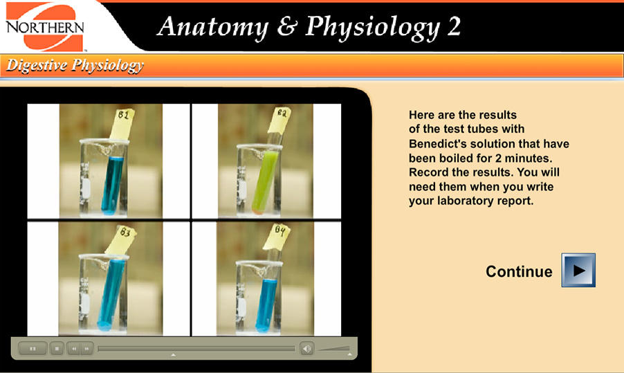 results of the experiment on the B set of tubes, showing B2 with a yellowish color
