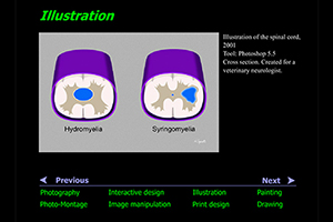 Heather's interactive Flash Portfolio Overview